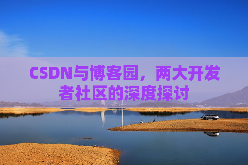 CSDN与博客园，两大开发者社区的深度探讨